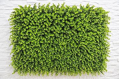 《崩坏：星穹铁道》符玄角色PV——「法眼无遗」